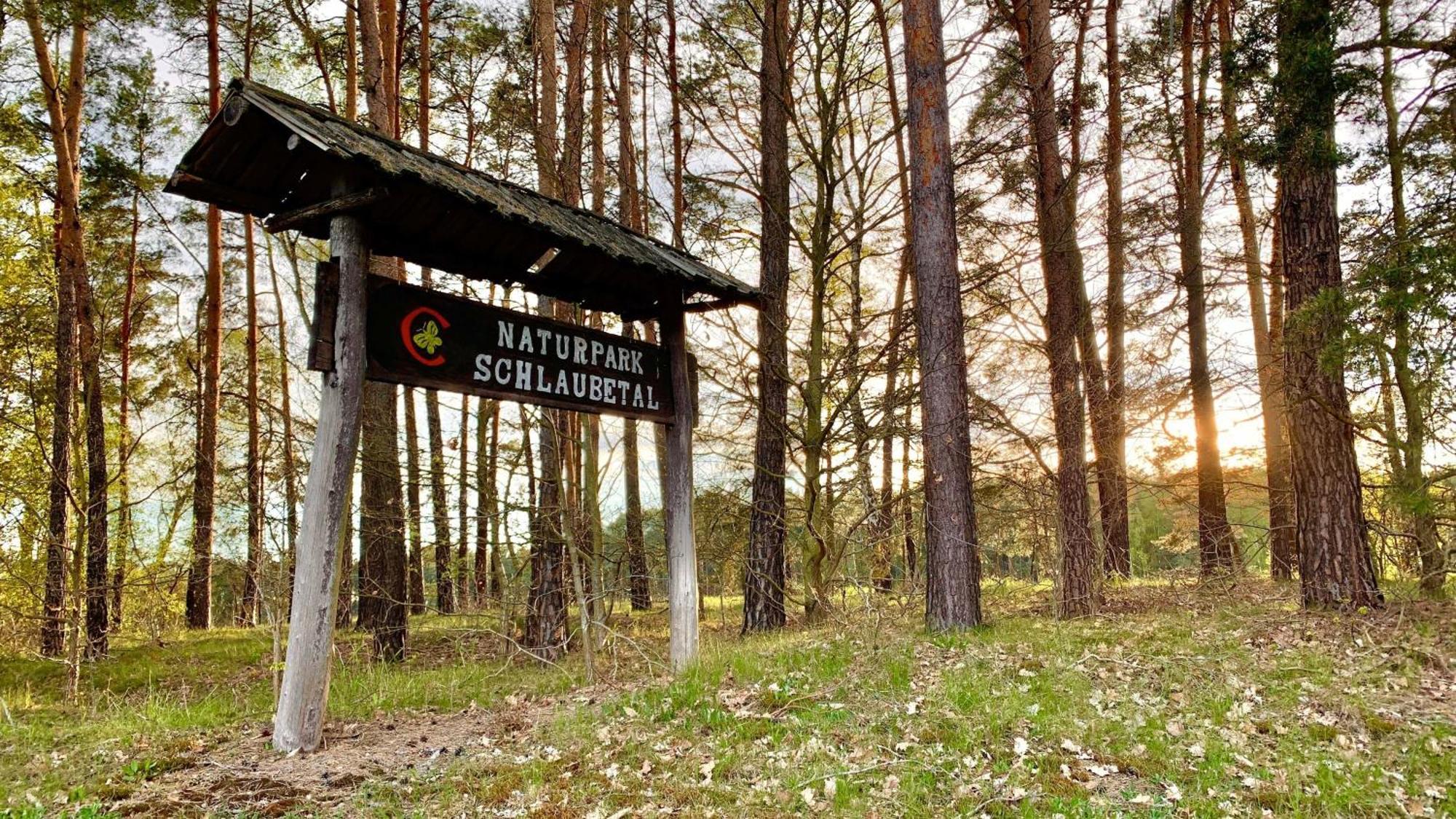 Naturnahe Gaestewohnung Im Heidelandhaus Henzendorf Нойцелле Экстерьер фото